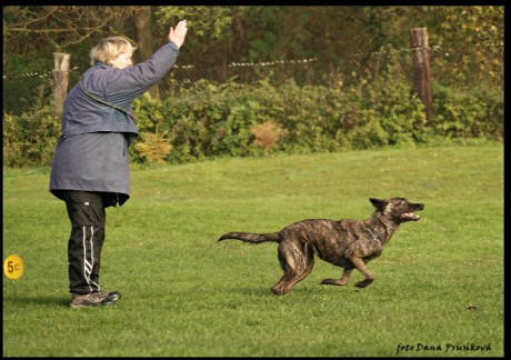 Chlumec 2010_vysílačka.jpg